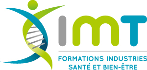 imt logo